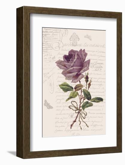 Vintage Flower I-Stephanie Monahan-Framed Art Print