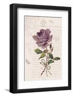Vintage Flower I-Stephanie Monahan-Framed Art Print