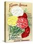 Vintage Flower Seed Catalog Carnations Marguerite-null-Stretched Canvas