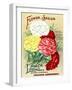 Vintage Flower Seed Catalog Carnations Marguerite-null-Framed Art Print