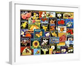 Vintage Flower Seed Packs-Kate Ward Thacker-Framed Giclee Print