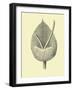 Vintage Flower-Jasmine Woods-Framed Art Print