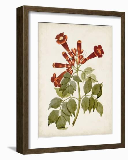 Vintage Flowering Trees VI-0 Unknown-Framed Art Print