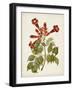 Vintage Flowering Trees VI-0 Unknown-Framed Art Print