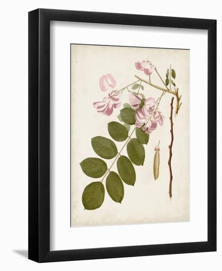 Vintage Flowering Trees VIII-0 Unknown-Framed Art Print