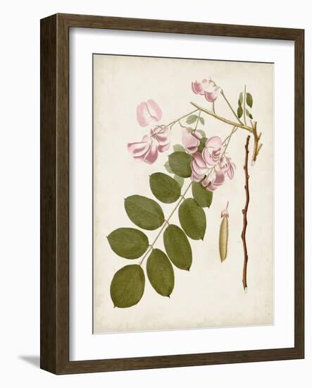 Vintage Flowering Trees VIII-0 Unknown-Framed Art Print