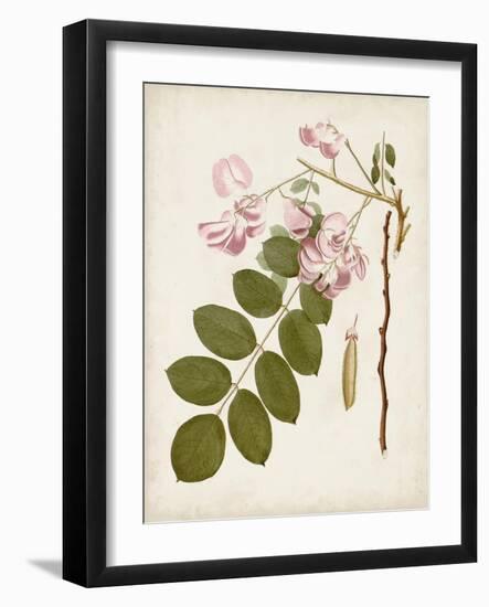 Vintage Flowering Trees VIII-0 Unknown-Framed Art Print