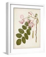 Vintage Flowering Trees VIII-0 Unknown-Framed Art Print