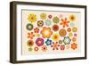 Vintage Flowers 2-Thomas Pajot-Framed Photographic Print