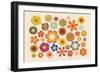 Vintage Flowers 2-Thomas Pajot-Framed Photographic Print