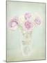 Vintage Flowers I-Shana Rae-Mounted Giclee Print