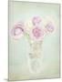 Vintage Flowers I-Shana Rae-Mounted Giclee Print