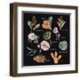 Vintage Flowers Illustration 1-Julie T-Framed Art Print