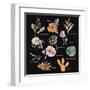 Vintage Flowers Illustration 1-Julie T-Framed Art Print