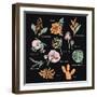 Vintage Flowers Illustration 1-Julie T-Framed Art Print