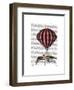 Vintage Flying Machine-Fab Funky-Framed Art Print