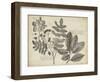 Vintage Folia V-Vision Studio-Framed Art Print