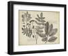 Vintage Folia V-Vision Studio-Framed Art Print