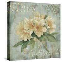 Vintage Fragrance I-Daphné B.-Stretched Canvas