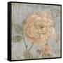 Vintage Fragrance II-Daphné B.-Framed Stretched Canvas