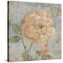 Vintage Fragrance II-Daphné B.-Stretched Canvas