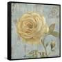 Vintage Fragrance III-Daphné B.-Framed Stretched Canvas