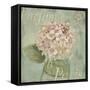 Vintage Fragrance IV-Daphné B.-Framed Stretched Canvas