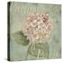 Vintage Fragrance IV-Daphné B.-Stretched Canvas
