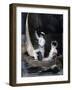 'Vintage French Postcard, C1900-null-Framed Giclee Print