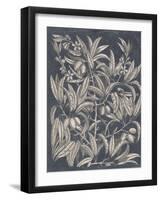 Vintage Fruit and Floral I-Megan Meagher-Framed Art Print