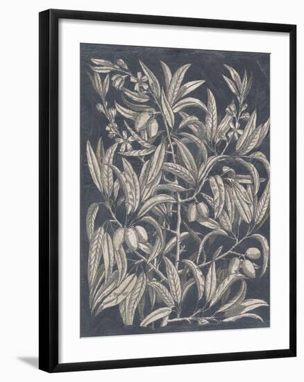 Vintage Fruit and Floral I-Megan Meagher-Framed Art Print