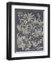 Vintage Fruit and Floral I-Megan Meagher-Framed Art Print