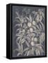 Vintage Fruit and Floral II-Megan Meagher-Framed Stretched Canvas