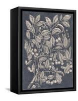 Vintage Fruit and Floral III-Megan Meagher-Framed Stretched Canvas