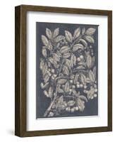 Vintage Fruit and Floral III-Megan Meagher-Framed Art Print