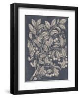 Vintage Fruit and Floral III-Megan Meagher-Framed Art Print