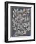 Vintage Fruit and Floral III-Megan Meagher-Framed Art Print