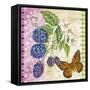 Vintage Fruit-Blackberries-Jean Plout-Framed Stretched Canvas