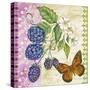 Vintage Fruit-Blackberries-Jean Plout-Stretched Canvas