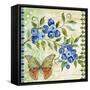 Vintage Fruit-Blueberries-Jean Plout-Framed Stretched Canvas