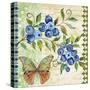 Vintage Fruit-Blueberries-Jean Plout-Stretched Canvas