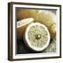 Vintage Fruit I-James Guilliam-Framed Giclee Print