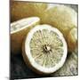 Vintage Fruit I-James Guilliam-Mounted Giclee Print