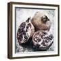 Vintage Fruit IV-James Guilliam-Framed Giclee Print