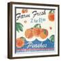 Vintage Fruit Square IV-Hugo Wild-Framed Art Print