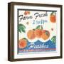 Vintage Fruit Square IV-Hugo Wild-Framed Art Print