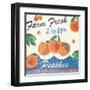 Vintage Fruit Square IV-Hugo Wild-Framed Art Print