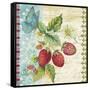 Vintage Fruit-Strawberries-Jean Plout-Framed Stretched Canvas