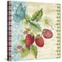 Vintage Fruit-Strawberries-Jean Plout-Stretched Canvas