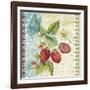 Vintage Fruit-Strawberries-Jean Plout-Framed Giclee Print